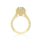 18k Yellow Gold Dantela RoyalT